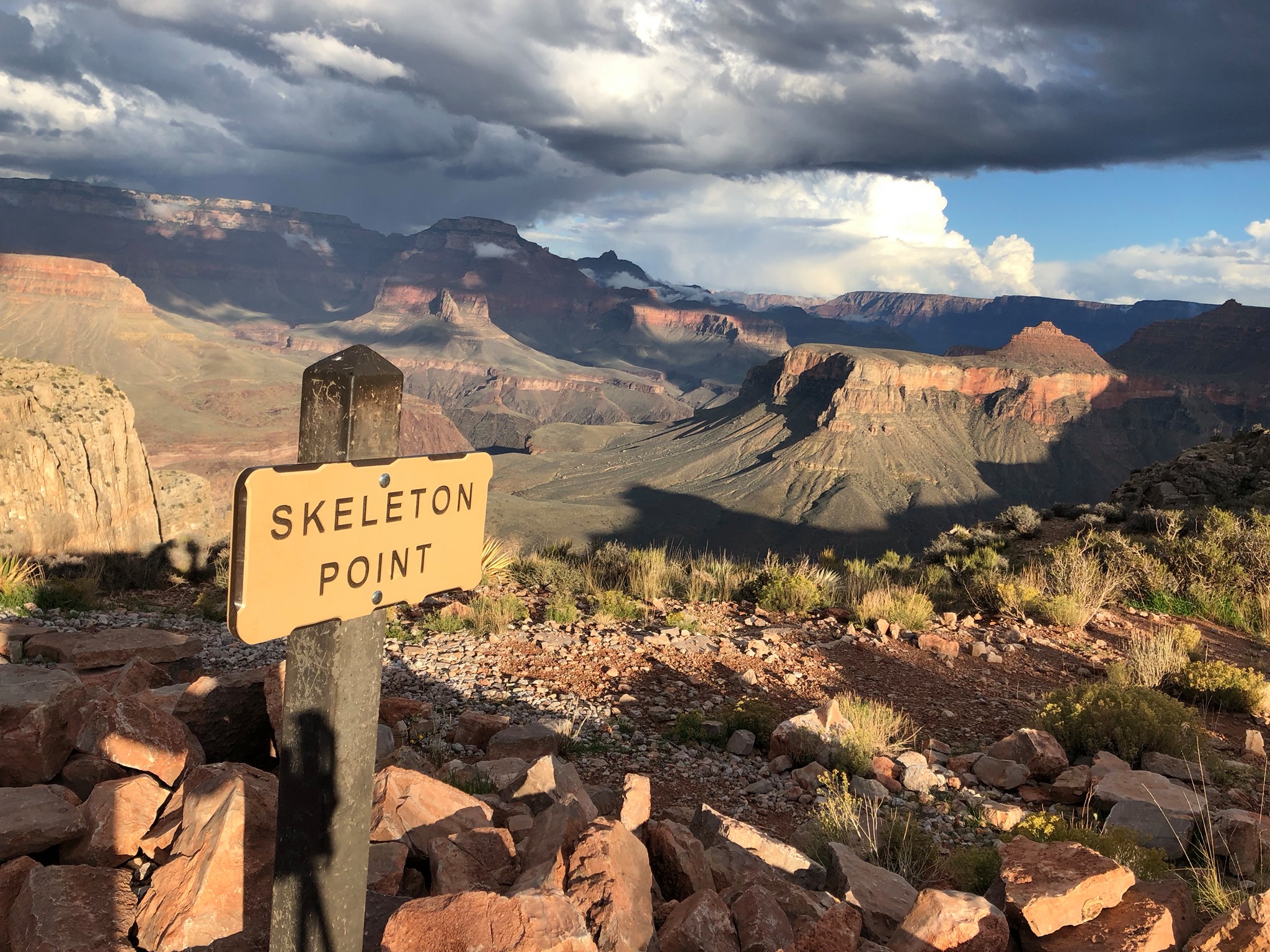 Skeleton Point View